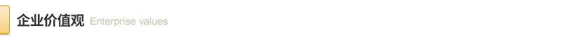 1596642982.png 价值观.png